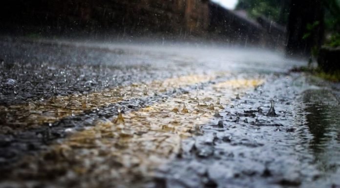 Para la tarde y noche de este día, el Ministerio de Medio Ambiente y Recursos Naturales (MARN) prevé lluvias en todo el país.