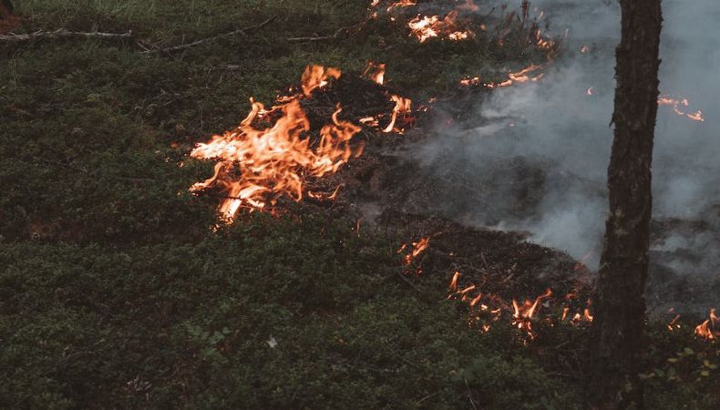 ¿Qué debe hacer para evitar los incendios forestales?