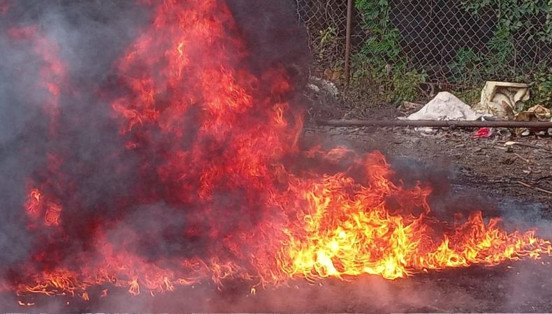 Destrucción de droga