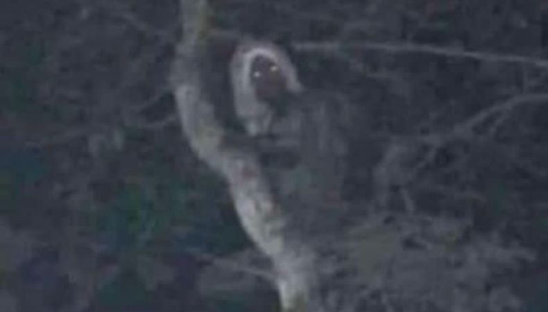 López Obrador comparte foto de una extraña aparición en México