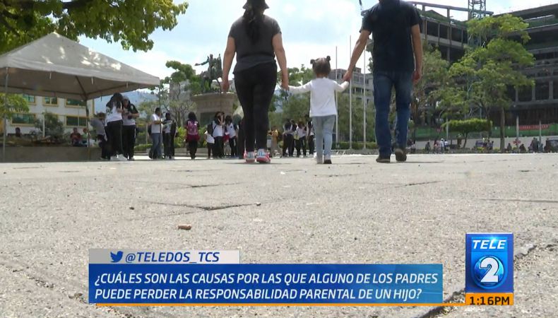 ¿En qué momento se pierde la autoridad parental?