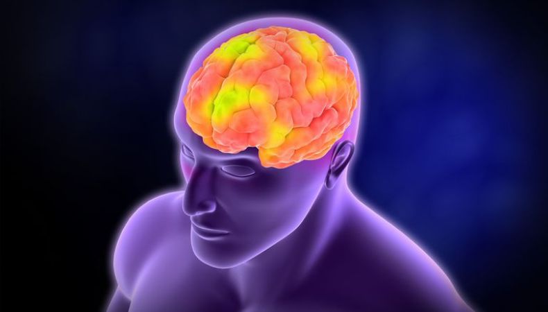 ¿Qué es la afasia y cómo afecta la capacidad de comunicarse