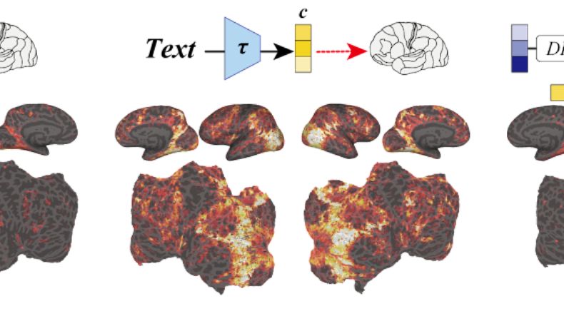 Científicos logran convertir pensamientos en imágenes