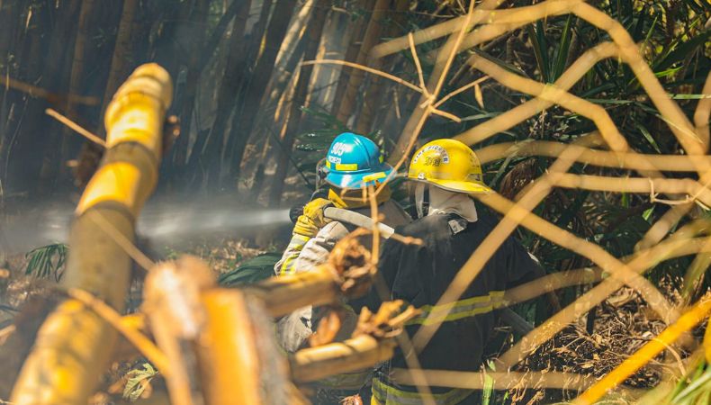Incendios 26 de marzo