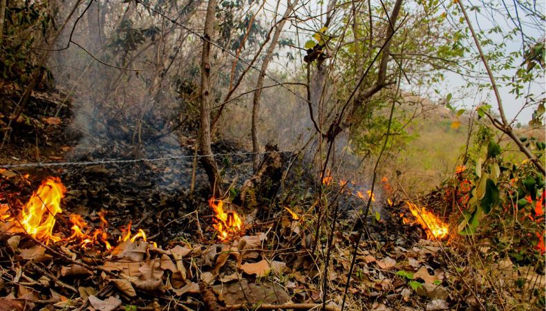 Balance de incendios 2023