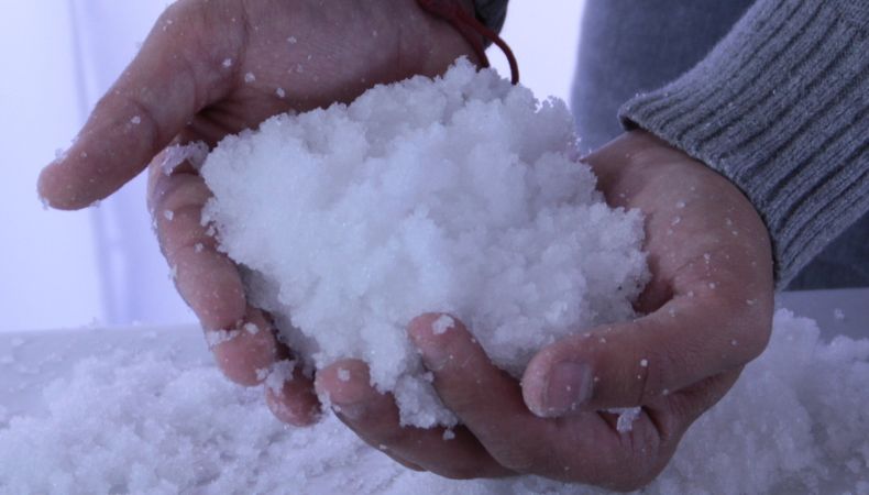 Niño de ocho años sobrevivió comiendo nieve cuando estaba perdido en el bosque