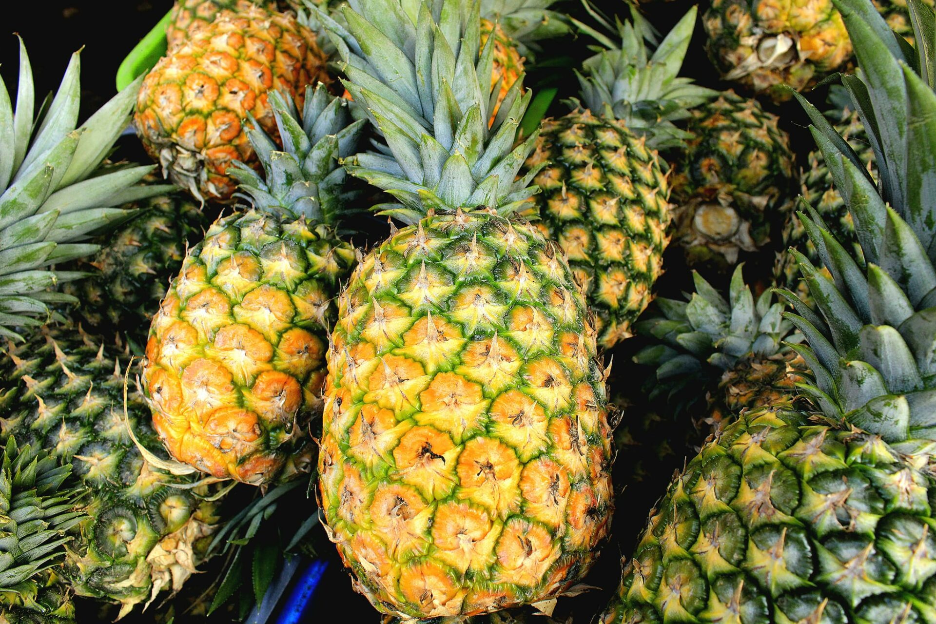 Santa María Ostuma celebra su Festival de la Piña