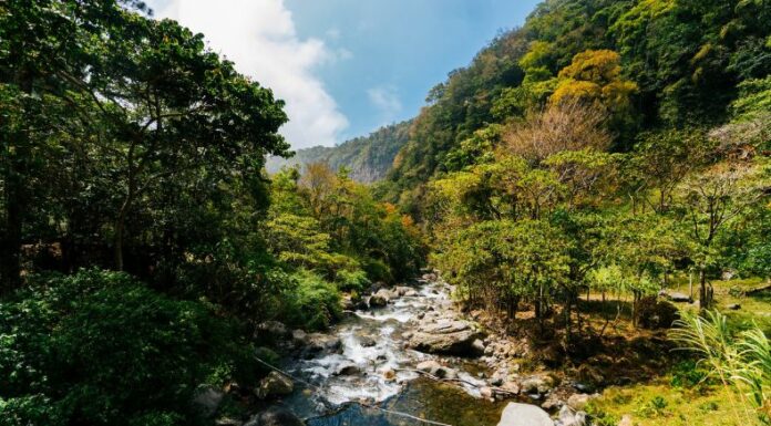 Panamá y Estado Unidos alcanzan acuerdo contra la inmigración ilegal