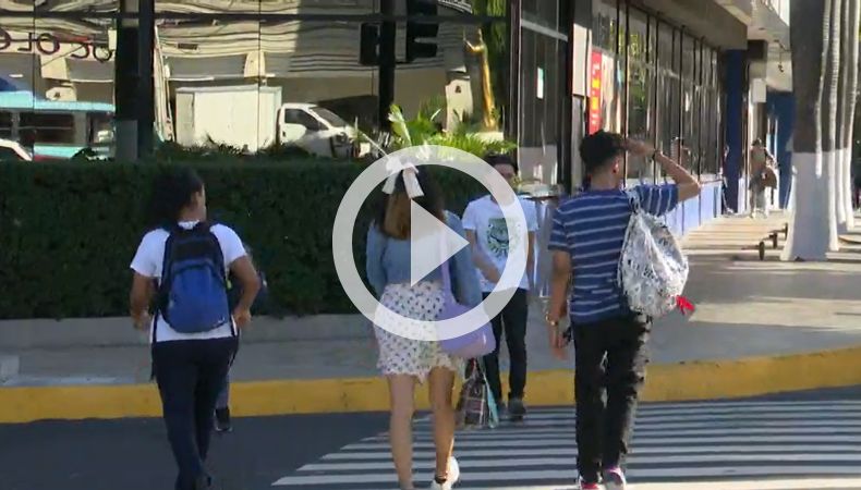 Onasevi: 70 % de los peatones cruzan la calle de manera incorrecta