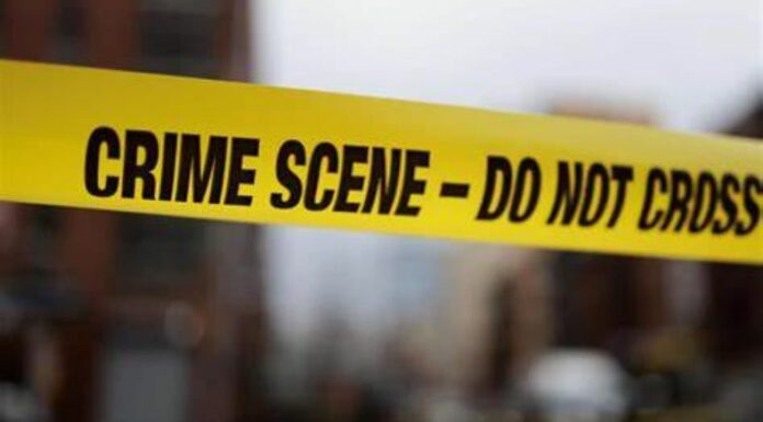 El funcionario municipal y su padre fueron secuestrados durante un evento de carreras de caballos en Palma de Oro, Veracruz.