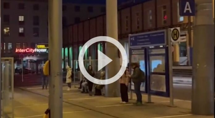 Huelgas del sector de transporte Alemania