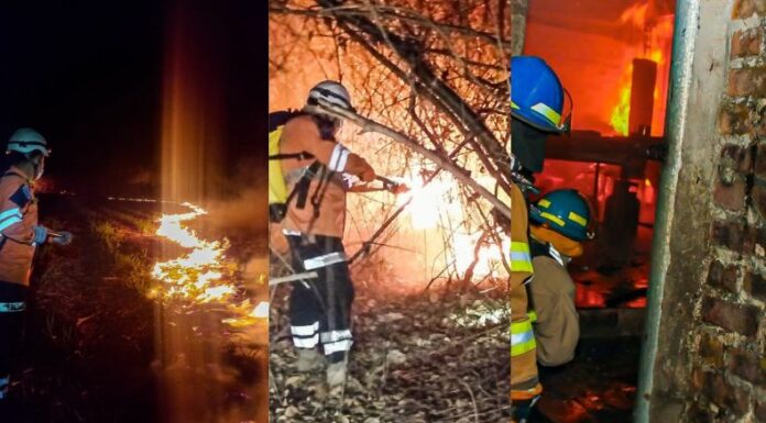 Incendios en maleza y viviendas son las emergencias atendidas por Bomberos.