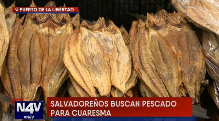 Pescado seco, una tradición en tiempo de Cuaresma