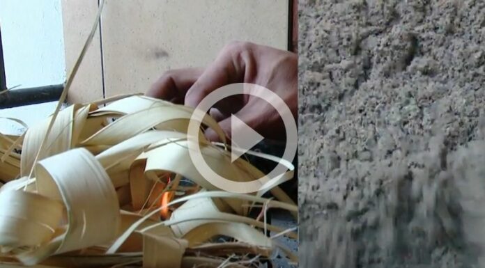 Miércoles de ceniza