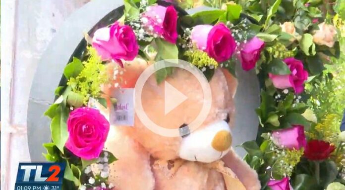 Día de San Valentín, Mercado San Miguelito