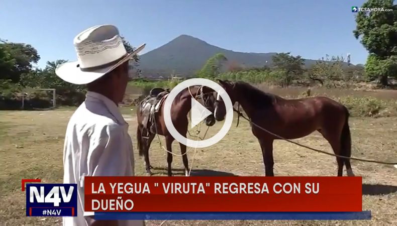 La yegua Viruta regresó con su dueño.