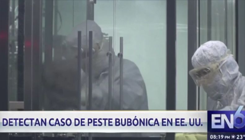 La peste Confirman caso de peste bubónica