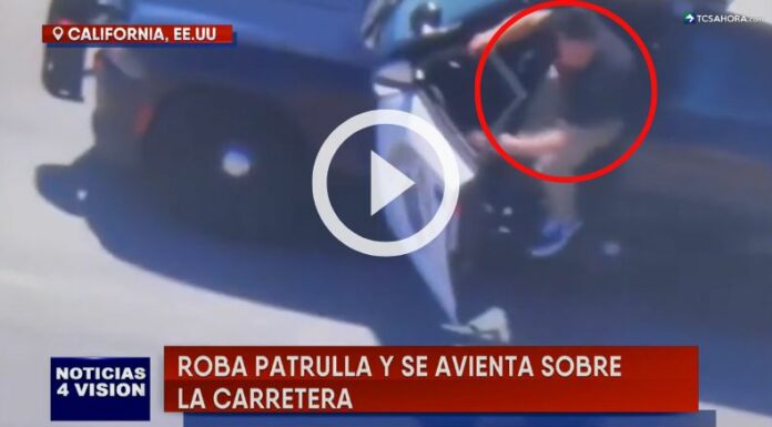 Hombre que robó una patrulla muere al lanzarse del vehículo en movimiento.