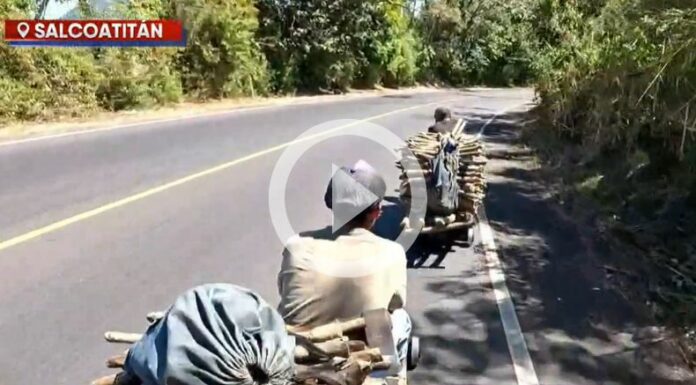 Recolectores de leña Salcoatitán