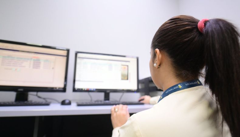 ¡Renovación de licencia de conducir y tarjeta de circulación online!