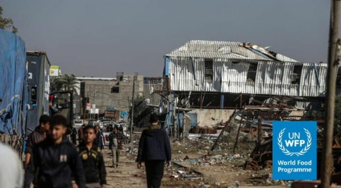 Programa Mundial de Alimentos suspende entrega de alimentos en el norte de Gaza