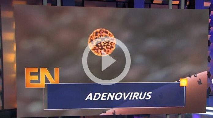 Adenovirus