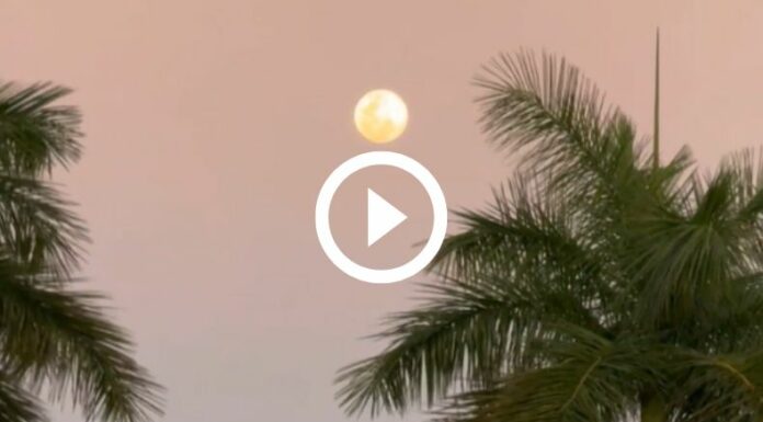 [Video] ¡Así luce la Luna en este viernes!
