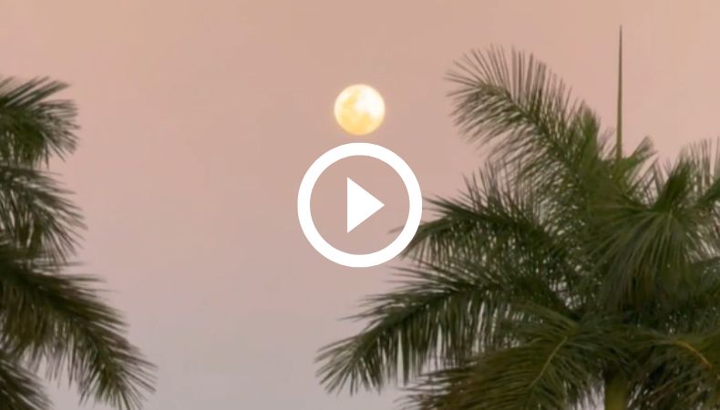 [Video] ¡Así luce la Luna en este viernes!