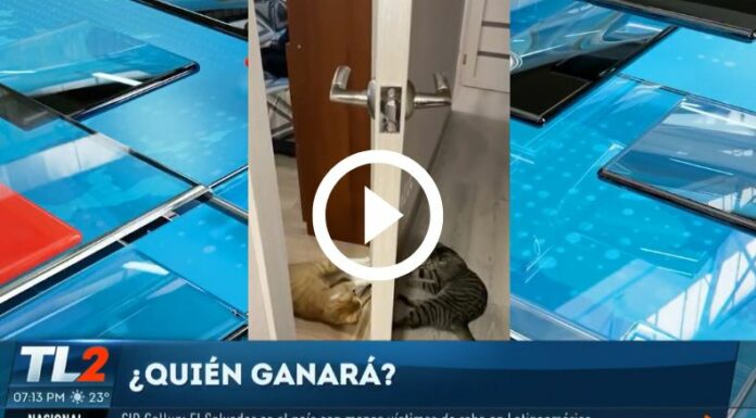 ¿Quién gana en jalar la cuerda?