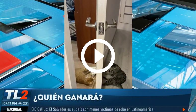 ¿Quién gana en jalar la cuerda?