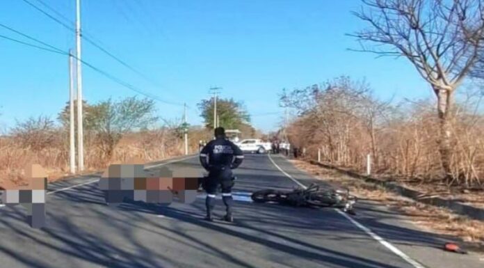 Agente fallece en accidente de tránsito sobre carretera Longitudinal del Norte.