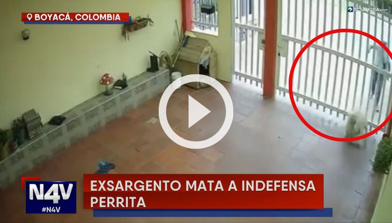 Un exmilitar mató a una indefensa perrita en Boyacá, Colombia.