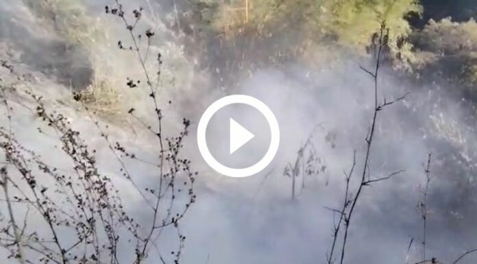 Incendio de maleza seca en Km 14 carretera a Comalapa