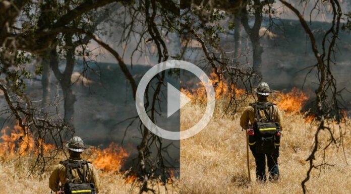 Incendios forestales en Australia