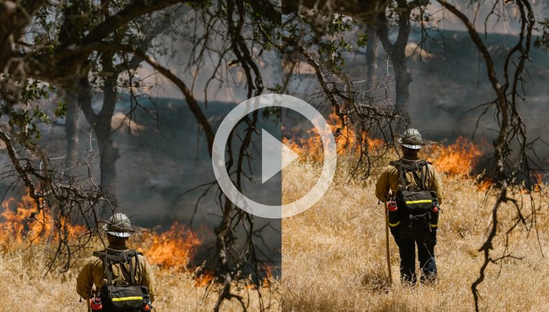 Incendios forestales en Australia