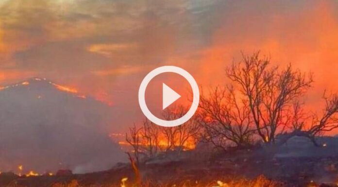 Se reportan fuertes incendios forestales en Texas.