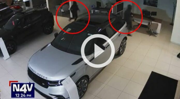 Un grupo de adolescentes robó unos lujos autos en Wisconsin.