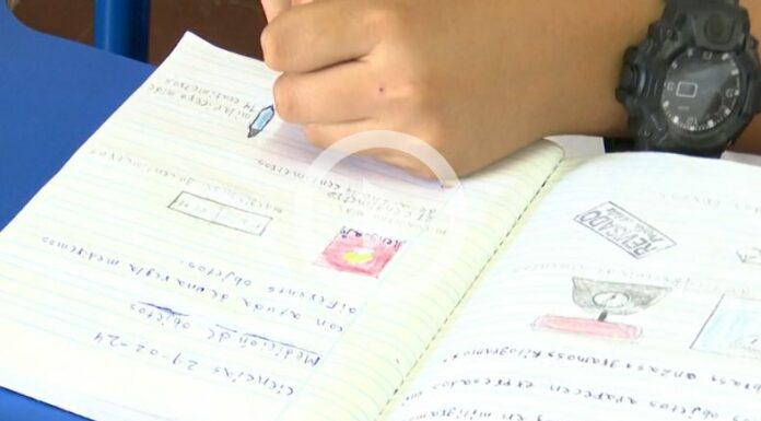 Investigaciones indican que los alumnos no estarían aprendiendo