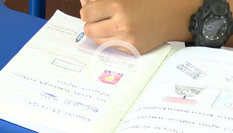 Investigaciones indican que los alumnos no estarían aprendiendo