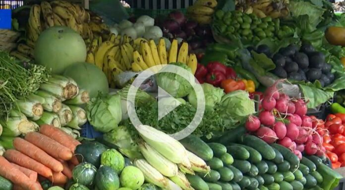 Forma correcta de almacenar los alimentos