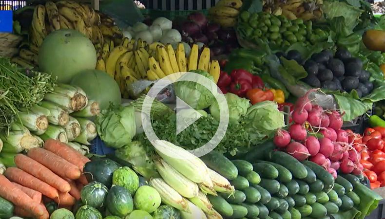 Forma correcta de almacenar los alimentos