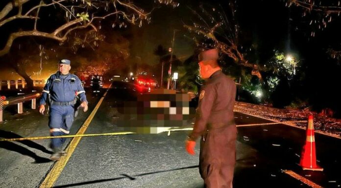 Fallece mujer atropellada camino a San Rafael Cedros