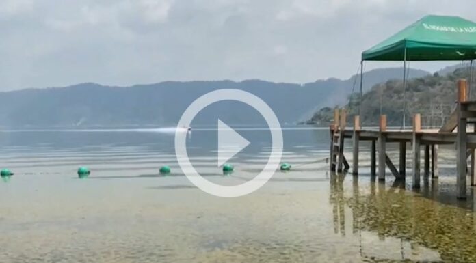 Cianobacterias invaden las aguas del lago de Coatepeque