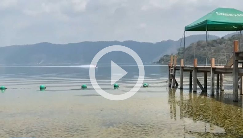 Cianobacterias invaden las aguas del lago de Coatepeque