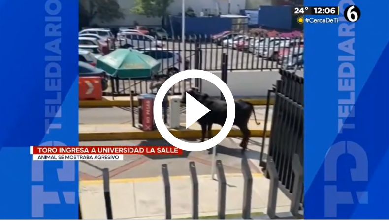 Toro ingresó a la Universidad de La Salle