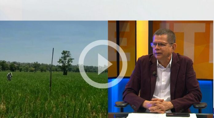 Luis Treminio y las proyecciones de producción agrícola