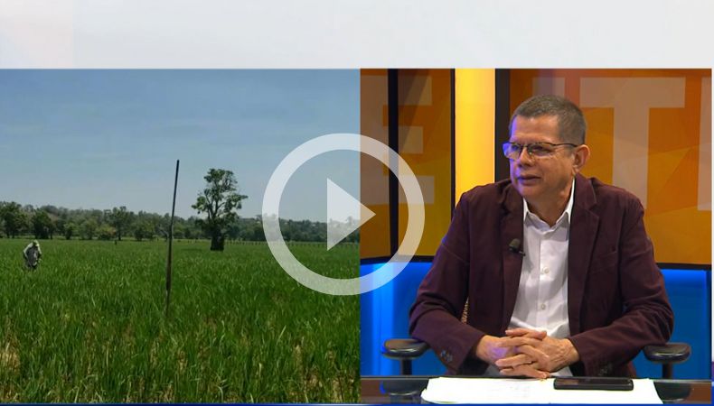 Luis Treminio y las proyecciones de producción agrícola