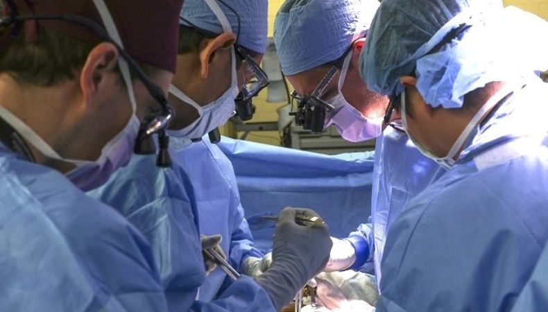 Trasplante de riñón de cerdo