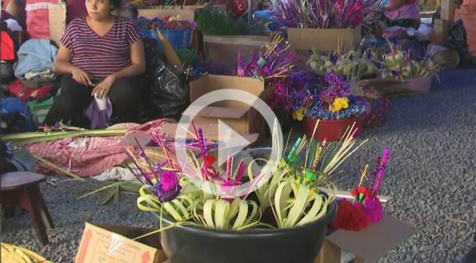Ventas de palmas para Domingo de Ramos