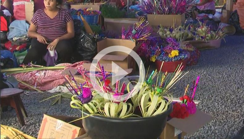 Ventas de palmas para Domingo de Ramos